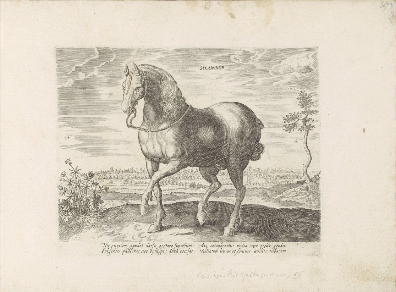 Paard uit Gelre Sicamber (tytuł na obiekcie) Paardenrassen uit de Koninklijke stallen van Don Juan van Oostenrijk (tytuł serii) Koń, w którym wszystkie rodzaje szlachty: wybrane zachowania koni wyróżniających się z różnych stron świata (...) (tytuł serii n autorstwa Anonymous