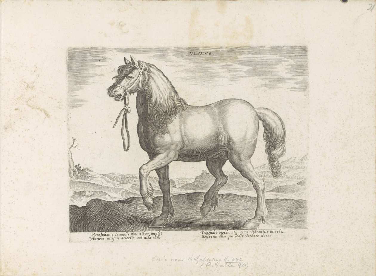 Paard uit Gulik (Juliacus) Julia (tytuł na obiekcie) Paardenrassen uit de Koninklijke stallen van Don Juan van Oostenrijk (tytuł serii) Koń, w którym wszyscy szlachcice: wybrani z różnych stron świata wyróżniający się zachowaniem koni (...) (seria autorstwa Anonymous