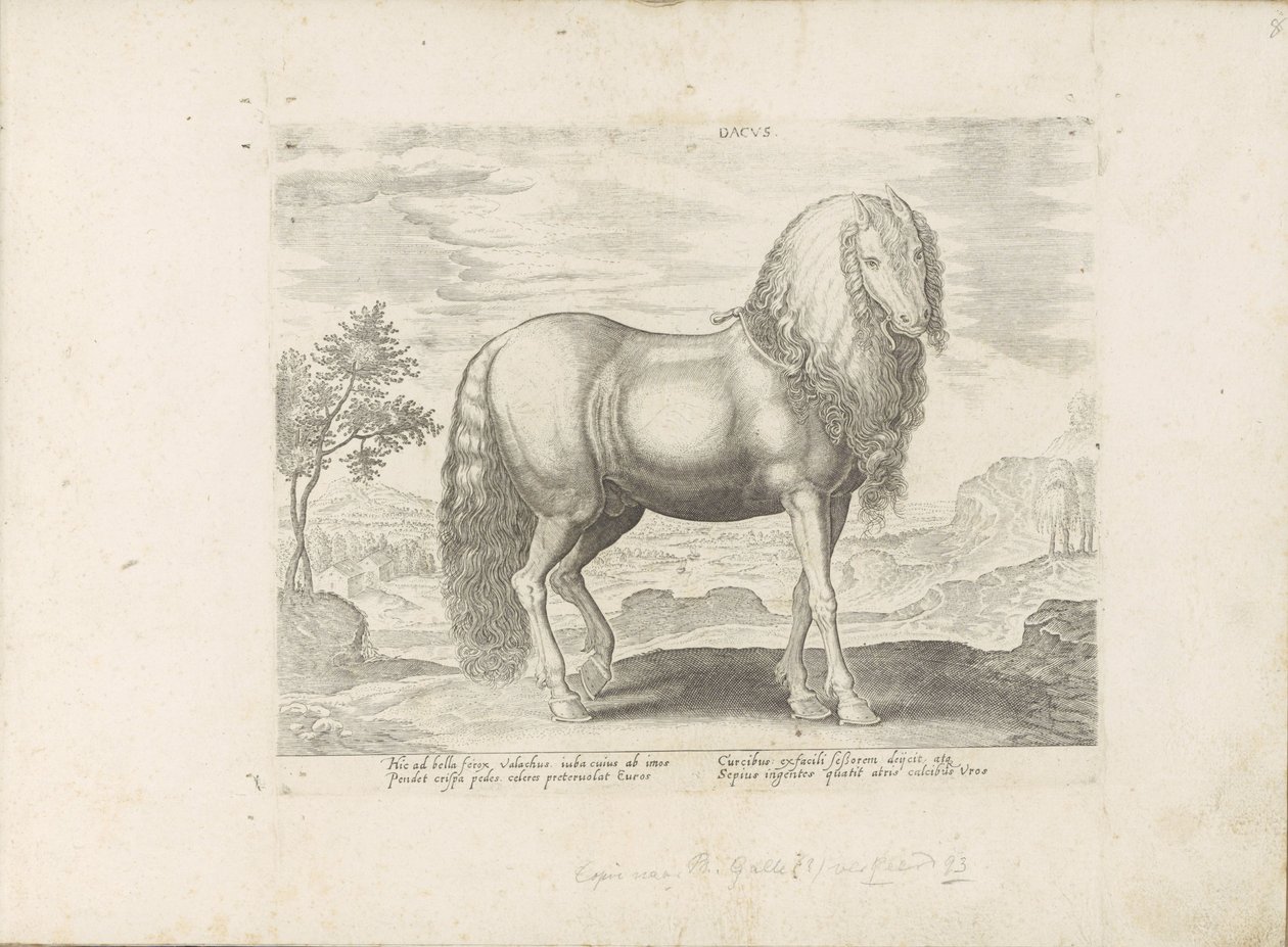 Paard uit Roemenië (niderlandzki) Dacus (tytuł na obiekcie) Paardenrassen uit de Koninklijke stallen van Don Juan van Oostenrijk (tytuł serii) Koń, w którym wszelka szlachta: wybrane zachowania koni wyróżnionych z różnych stron świata (...) (tytuł serii autorstwa Anonymous