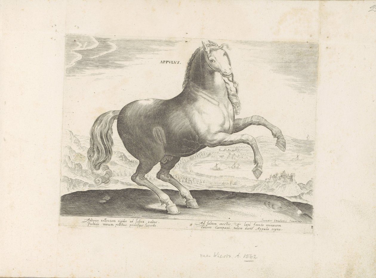 Paard uit Zuid-Italia Appulus (tytuł na obiekcie) Paardenrassen uit de Koninklijke stallen van Don Juan van Oostenrijk (tytuł serii) Koń, w którym wszystkie rodzaje szlachty: wybrane zachowania koni wyróżniających się z różnych stron świata (...) (tytuł se autorstwa Anonymous