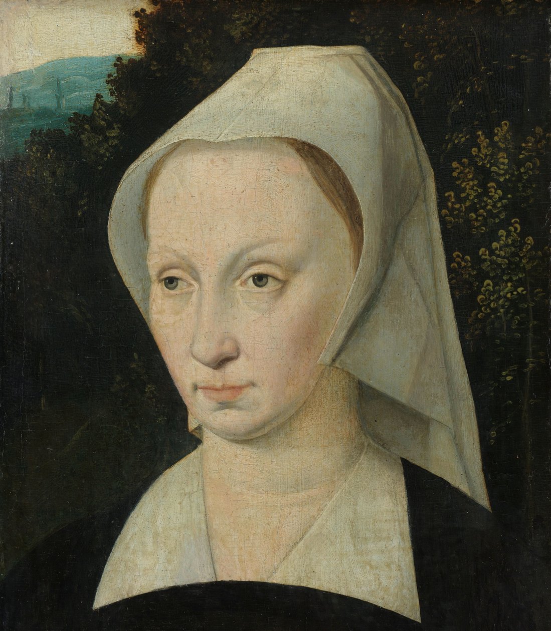 Portret kobiety autorstwa Anonymous
