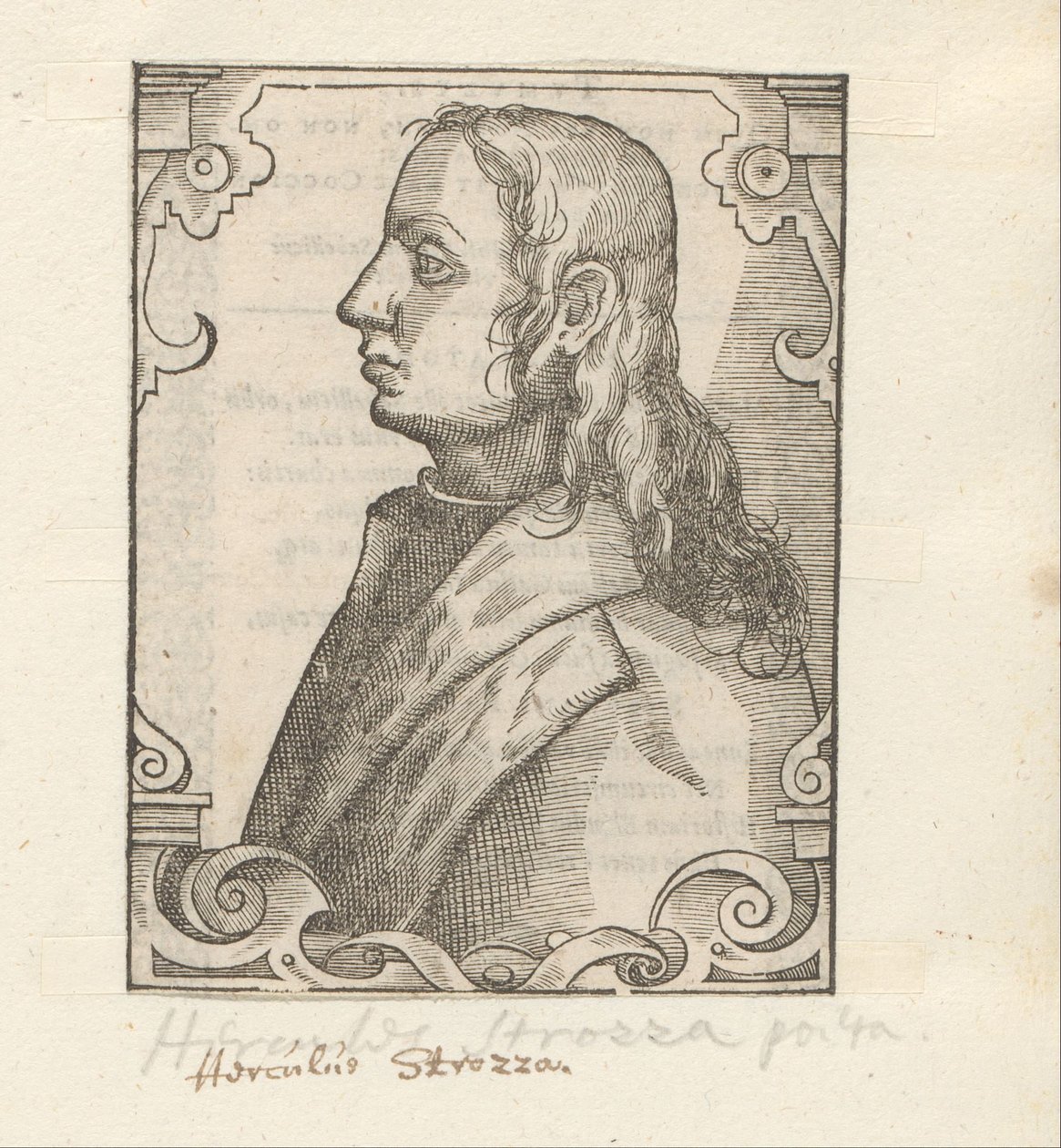 Portret van Ercole Strozzi autorstwa Anonymous