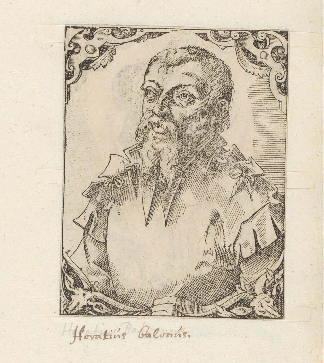 Portret Horatio Baglioniego autorstwa Anonymous