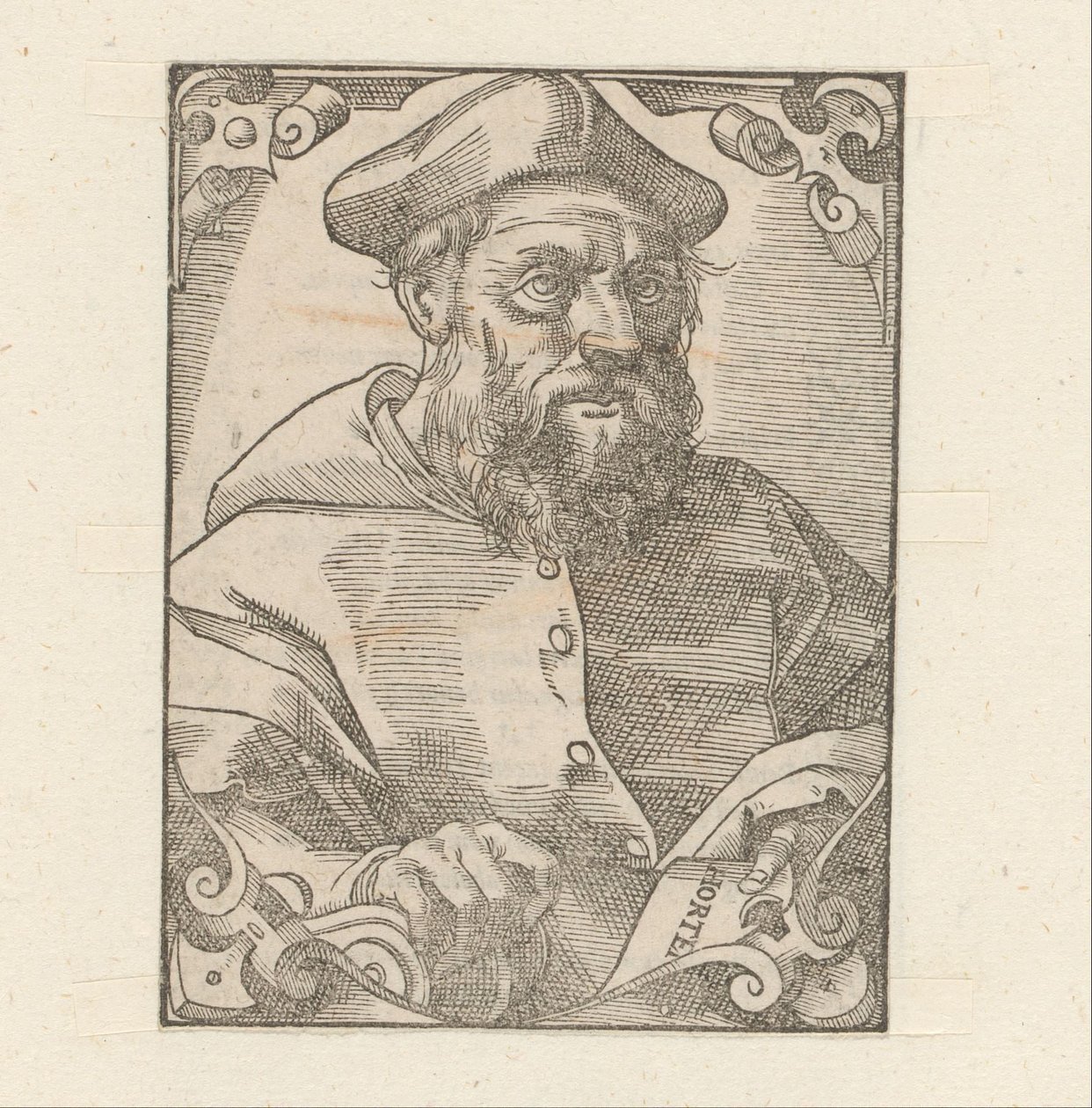 Portret van Jacopo Sadoleto autorstwa Anonymous