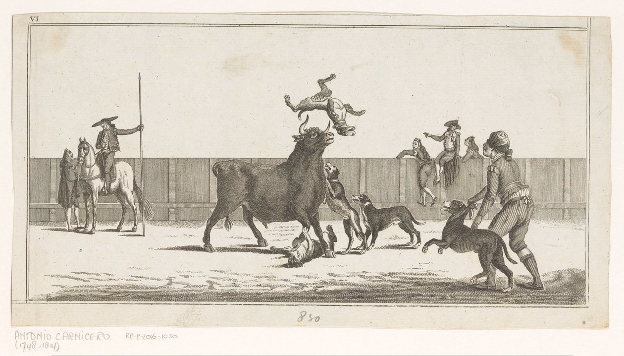 Byk zaatakowany przez psy Coleccion de las principales suertes de una corrida de toros (tytuł serii na obiekcie) Zbiór najważniejszych manewrów walki byków (tytuł serii) autorstwa Anonymous