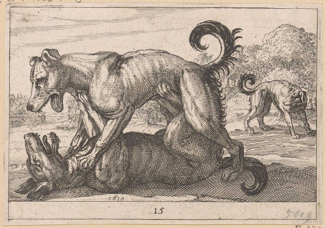 Dwa psy godowe i dwa psy bojowe Fighting Animals (kopie) (tytuł serii) autorstwa Anonymous