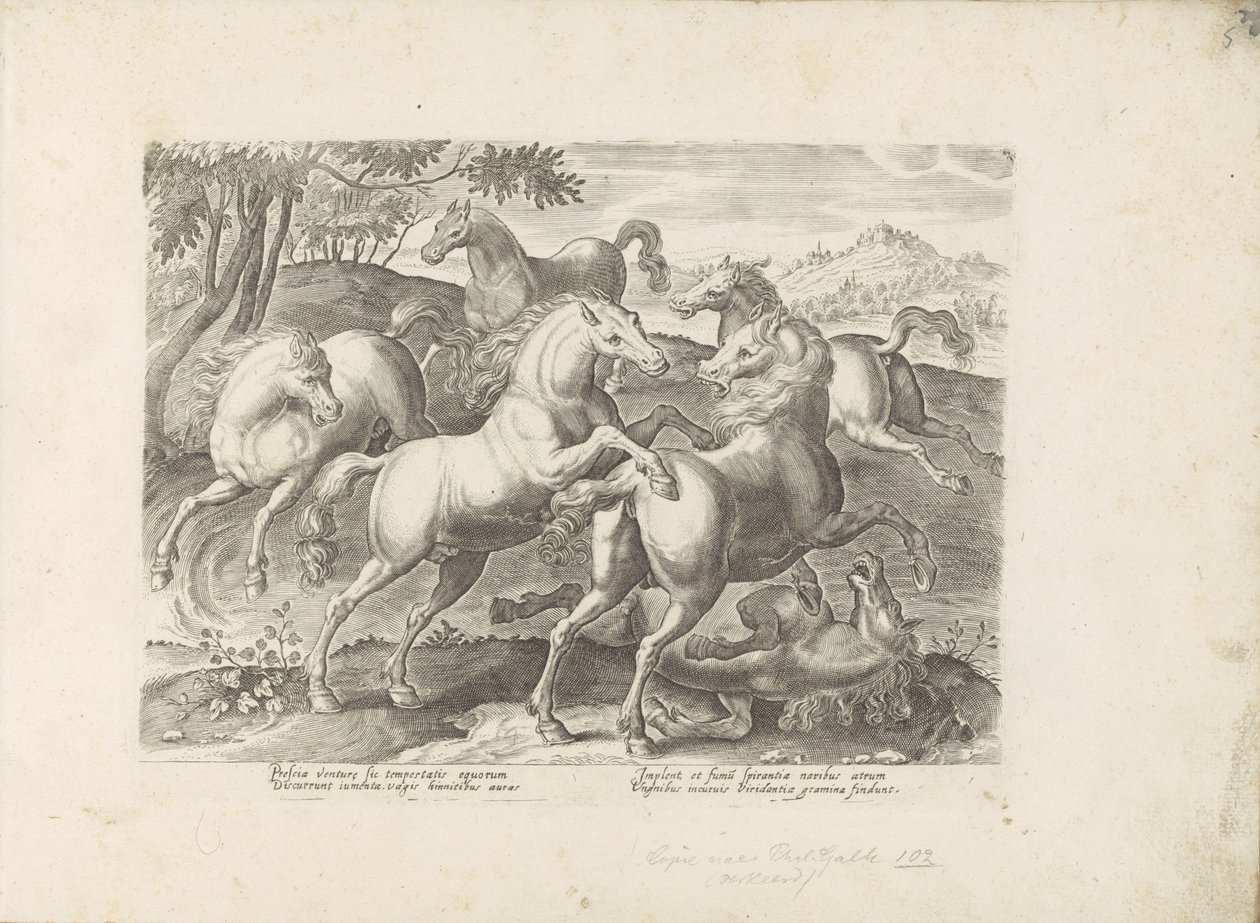 Vechtende paarden met een onder de voet gelopen paard Koń, w którym wszystkie rodzaje szlachty: wybrane zachowania koni wyróżnionych z różnych stron świata (...) (tytuł serii na obiekcie) autorstwa Anonymous