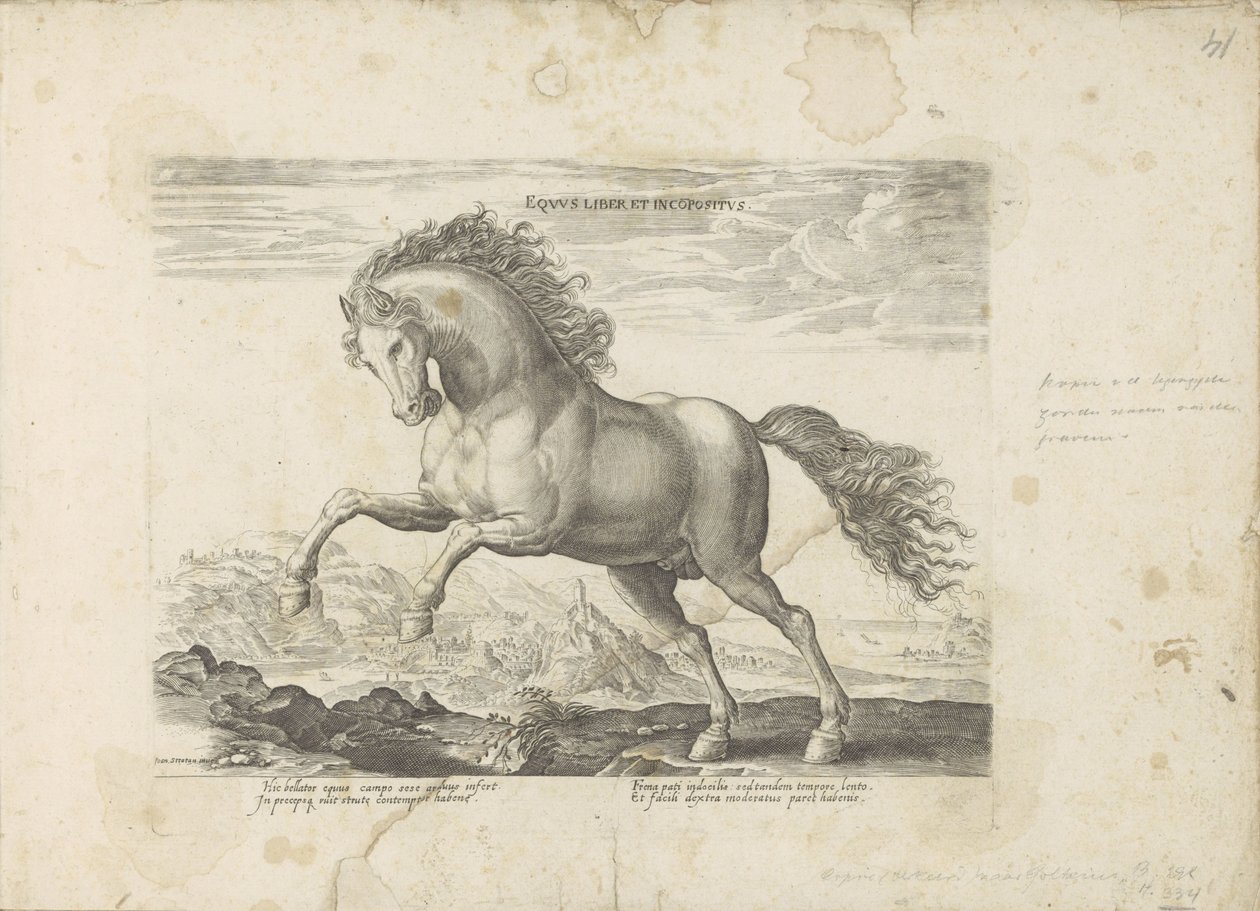 Dziki koń Equus Liber et Incopositus (tytuł na obiekcie) Koń, w którym wszystkie rodzaje szlachty: wybrane zachowania koni wyróżnionych z różnych stron świata (...) (tytuł serii na obiekcie) autorstwa Anonymous