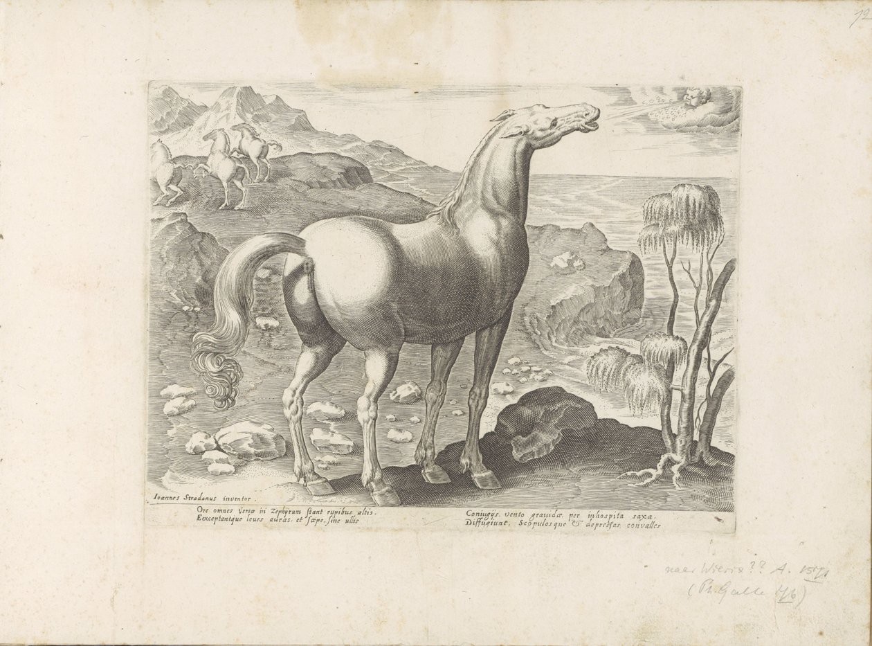 Zephyrus bevrucht een merrie Paardenrassen uit de Koninklijke stallen van Don Juan van Oostenrijk (tytuł serii) Koń, w którym wszystkie rodzaje szlachty: wybrane zachowania koni wyróżnionych z różnych stron świata (...) (tytuł serii na obiekcie) autorstwa Anonymous