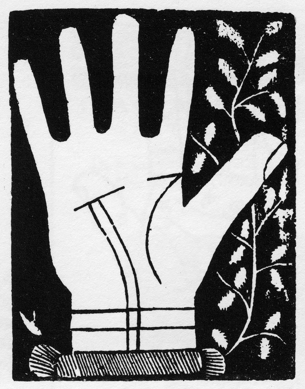 Chiromancia - Podwójna linia słoneczna załamująca się na środku - Grawerowanie 1545 w „Sztuce Chyromancji” Andre Corvo - Kolekcja prywatna autorstwa Anonymous Anonymous
