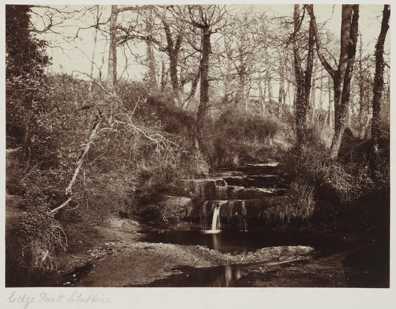 Edge Park, Cheshire, ok. 1865 r. (odbitka albuminowa ze szklanego negatywu) autorstwa Anonymous Anonymous