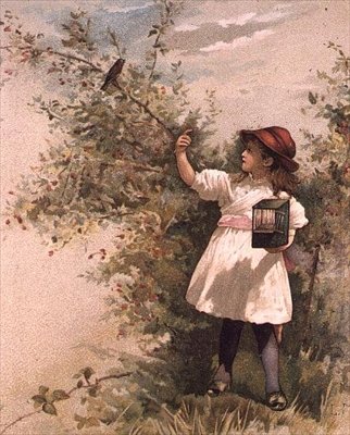 Kuszenie Robin autorstwa Anonymous Anonymous