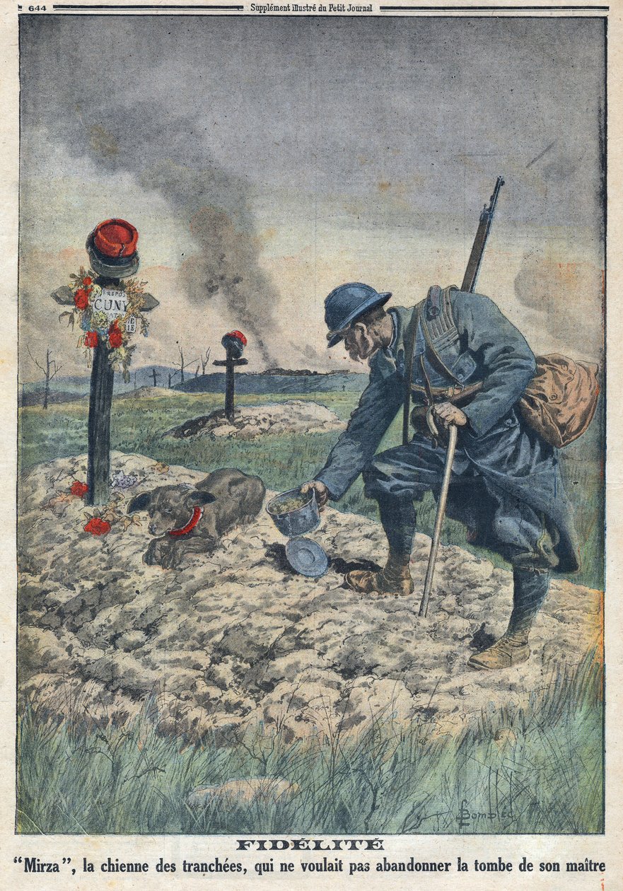 I wojna światowa 1914-1918 (wojna 14-18). Pies odmawiający porzucenia grobu zmarłego pana w okopie. W „”Le Petite Journal””, dnia 10.09.1916. Prywatna kolekcja autorstwa Anonymous Anonymous