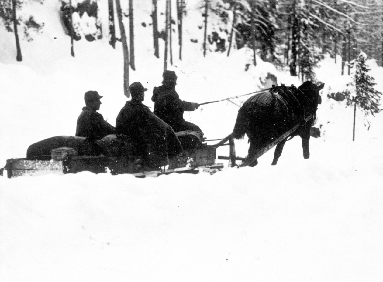Pierwsza wojna światowa, Carso Front: włoscy myśliwi alpiniści (alpino lub alpini) przewożący żywność na saniach autorstwa Anonymous Anonymous