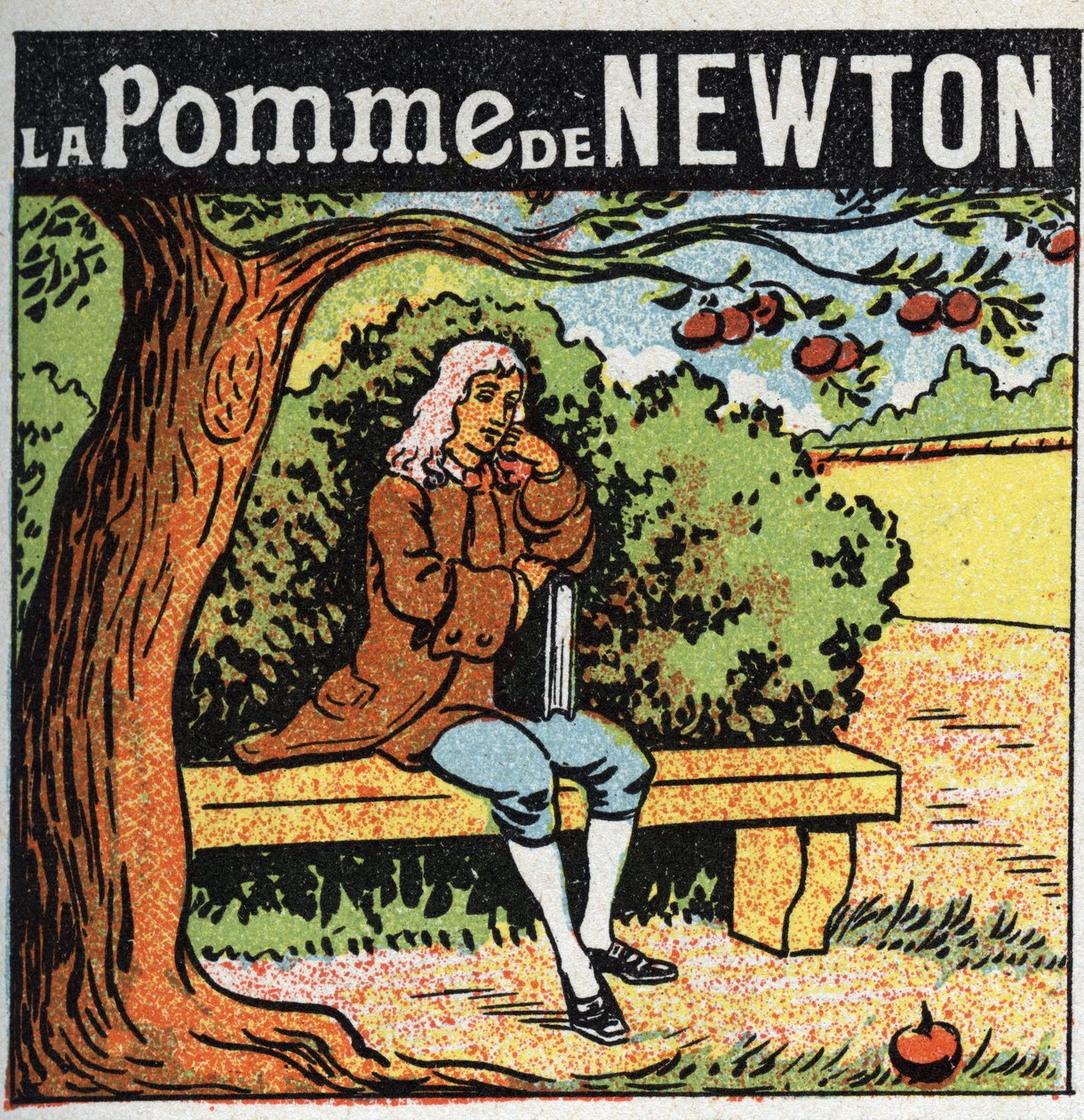 Grawitacja: jabłko Newtona. Isaac Newton (1642-1727) obserwuje spadające z jabłoni jabłko i odkrywa prawa ziemskiej grawitacji (grawitacji). Anonimowa ilustracja z 1925 r. Ze zbiorów prywatnych. autorstwa Anonymous Anonymous