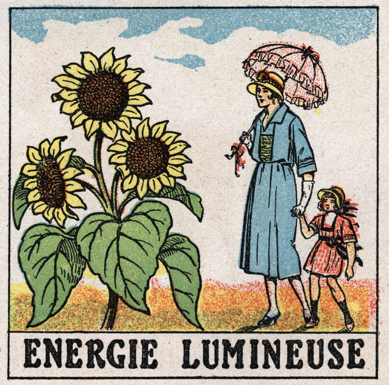 Energia świetlna: na słonecznik oddziałuje światło słoneczne. Anonimowa ilustracja z 1925 r. Ze zbiorów prywatnych. autorstwa Anonymous Anonymous