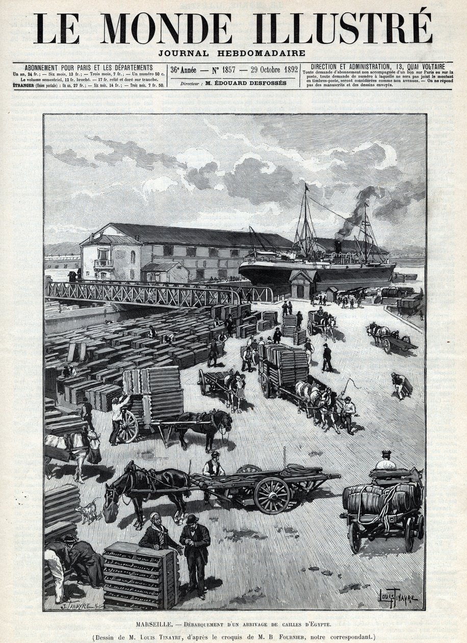 Handel morski: szczekanie przybycia przepiórek z Egiptu do portu w Marsylii. Gazeta. Grawer „Le monde illustree” z 1892 r. Ze zbiorów prywatnych. autorstwa Anonymous Anonymous
