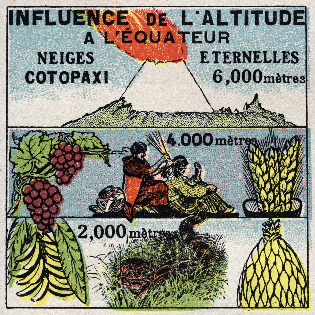 Meteorologia: wpływ wysokości na klimat. Anonimowa ilustracja z 1925 r. Ze zbiorów prywatnych. autorstwa Anonymous Anonymous