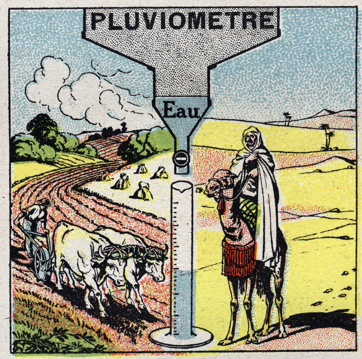 Meteorologia: wpływ deszczu na klimat, wykorzystanie deszczu. Anonimowa ilustracja z 1925 r. Ze zbiorów prywatnych. autorstwa Anonymous Anonymous