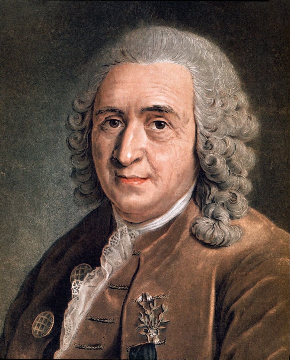 Portret Karola Linne (Carl von Linne, Linneus 1707 - 1778), szwedzki przyrodnik Malarstwo anonimowe. 18 wiek. Mediolan, kolekcja prywatna autorstwa Anonymous Anonymous