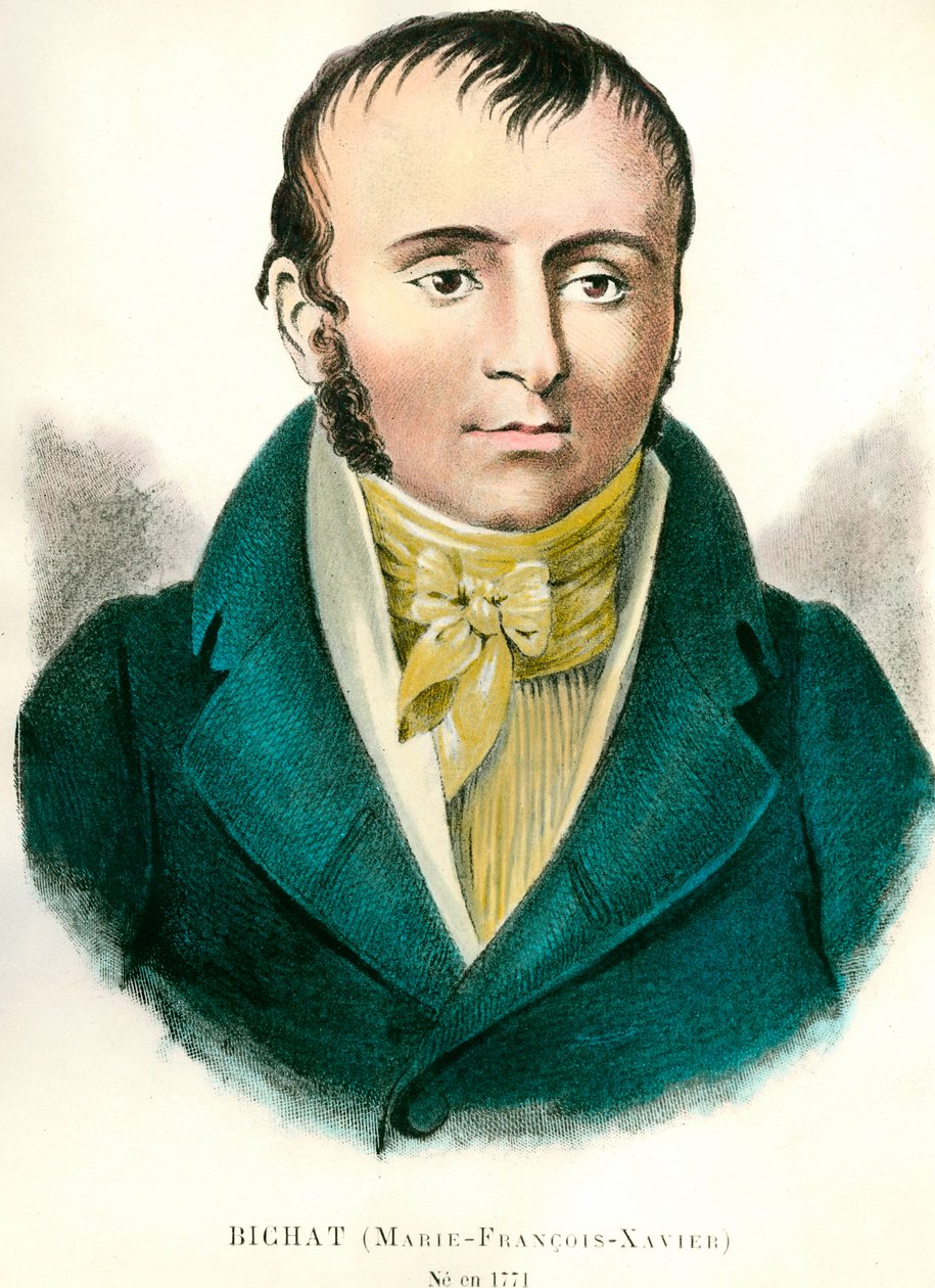 Portret Francois Xavier Bichat (1771-1802) Francuski lekarz. Rycina XIX wieku. Prywatna kolekcja autorstwa Anonymous Anonymous