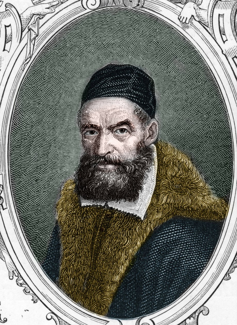 Portret Jacopo Palma il Vecchio (stary lub stary) autorstwa Anonymous Anonymous