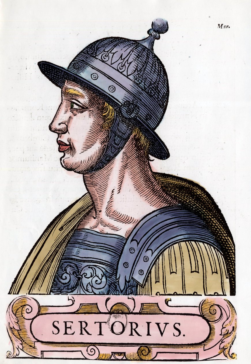 Portret Kwintusa Sertoriusa (123-72 pne), rzymskiego generała. Rytownictwo. Prywatna kolekcja. autorstwa Anonymous Anonymous