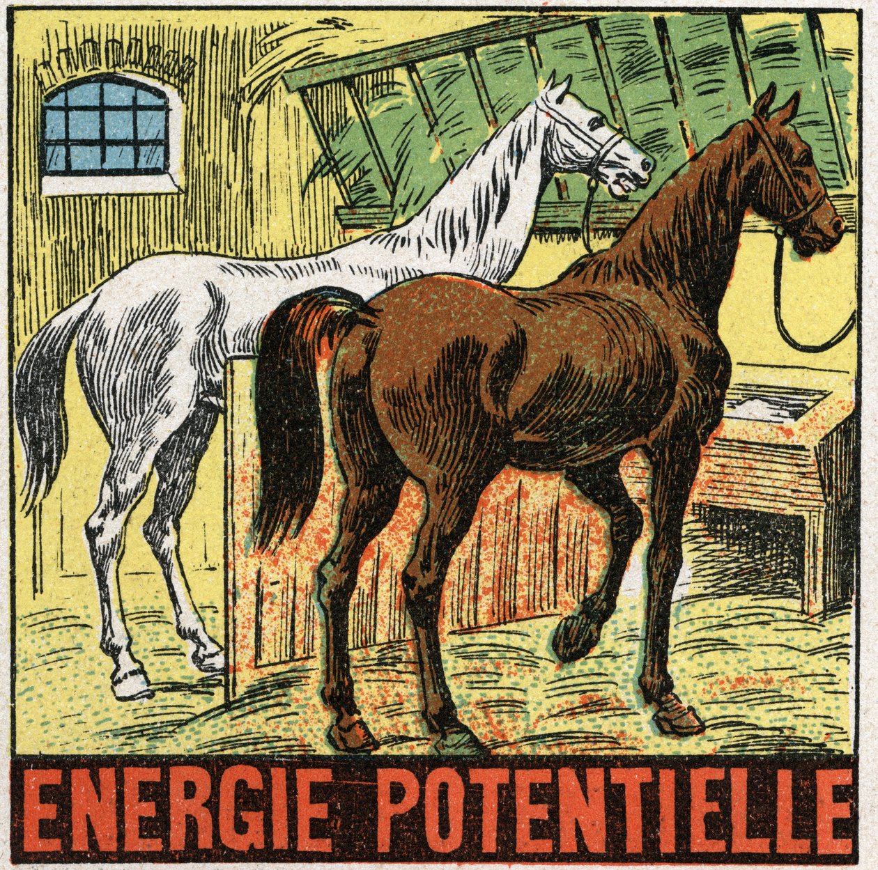 Energia potencjalna: konie odpoczywające w stajni. Anonimowa ilustracja z 1925 r. Ze zbiorów prywatnych. autorstwa Anonymous Anonymous