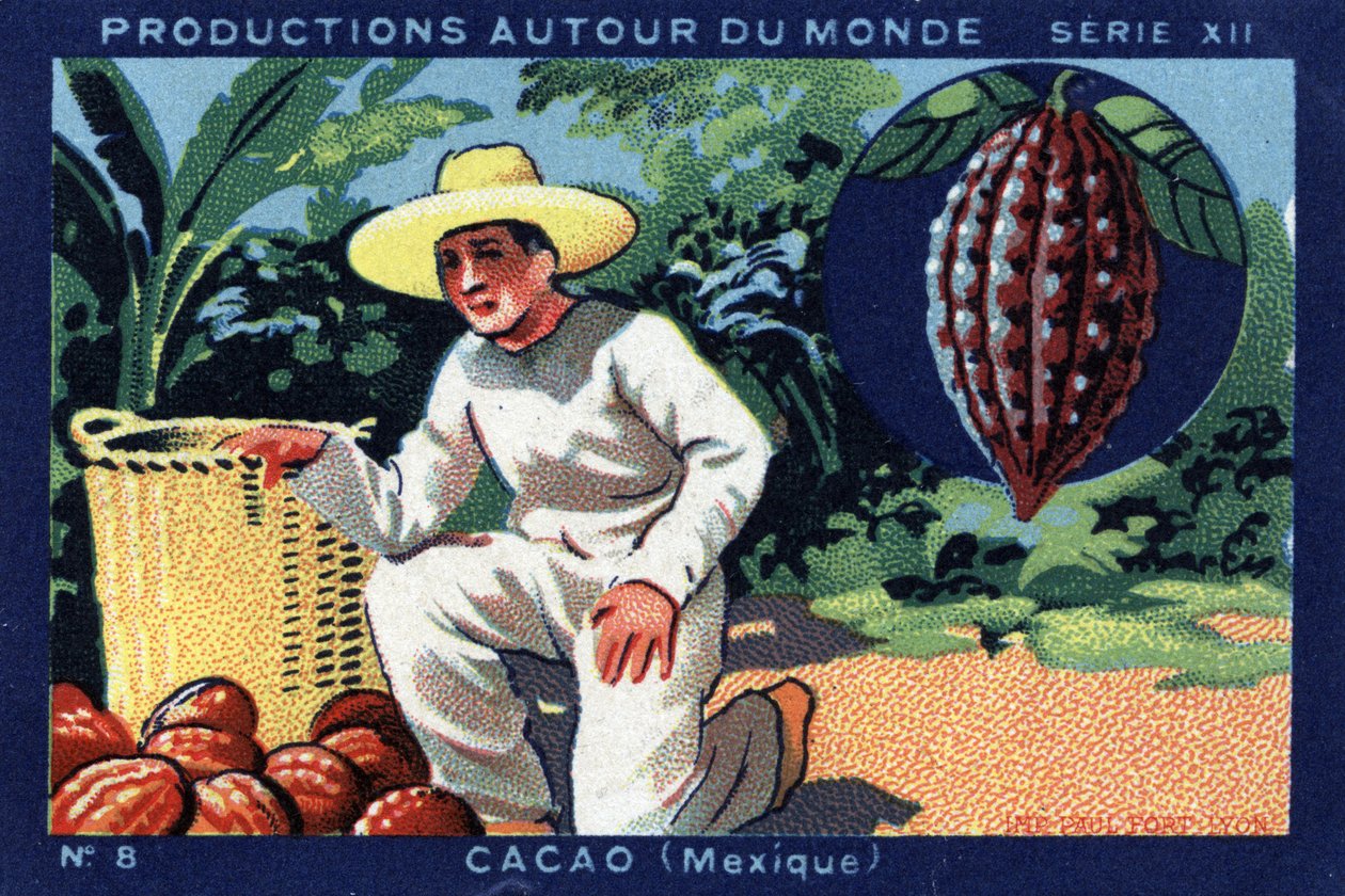 Produkcje na całym świecie: Kakao w Meksyku. Chromolitografia z 1933 roku w „Albumie Josepha-Milliata”” autorstwa Anonymous Anonymous