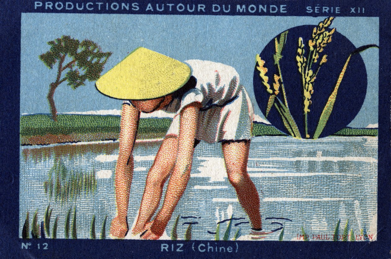 Produkcje na całym świecie: Ryż w Chinach. 1933 Chromolitografia w „Albumie Josepha-Milliata”” autorstwa Anonymous Anonymous