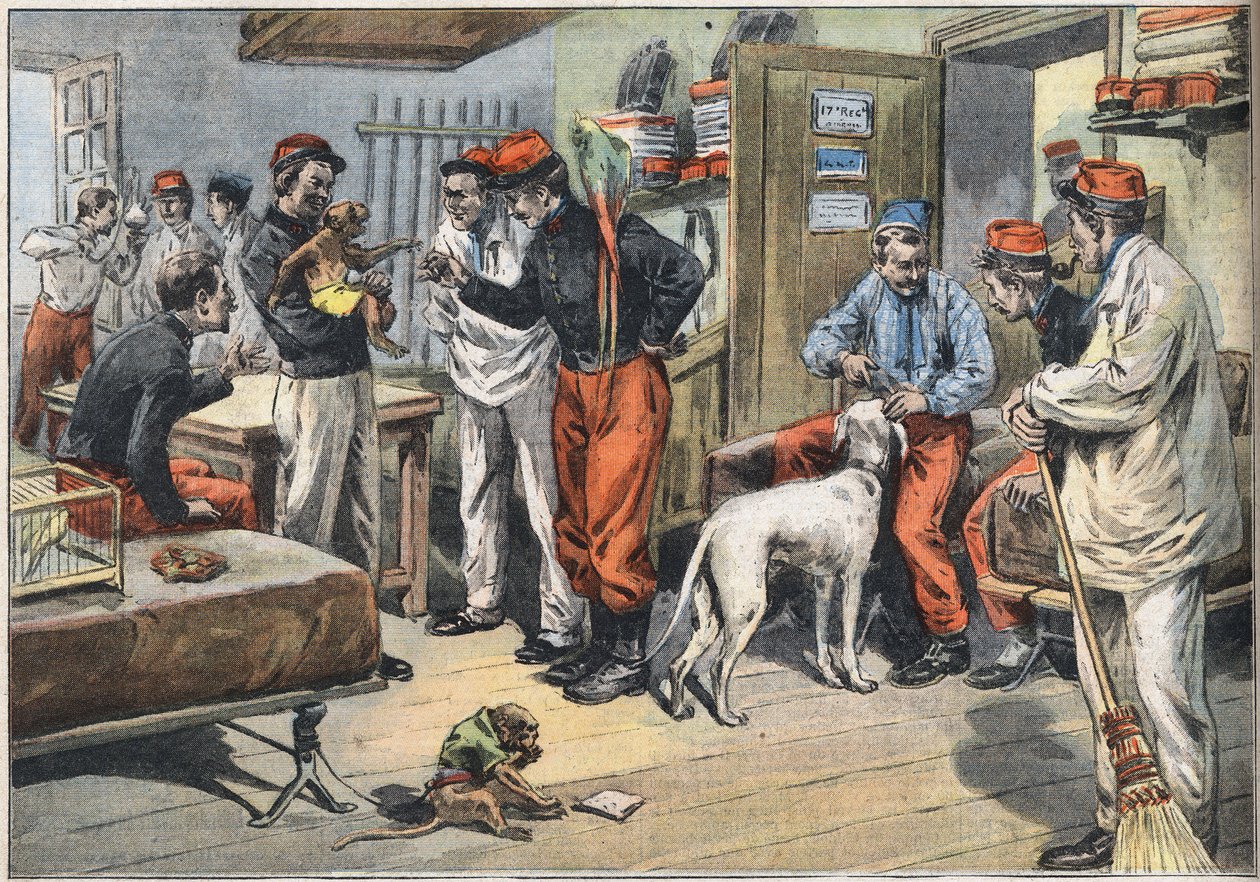 Powracający z Afryki żołnierze armii francuskiej wysłani do Tunezji. Grawer z gazety „Le Petité Parisien””, 7.06.1908. Prywatna kolekcja. autorstwa Anonymous Anonymous