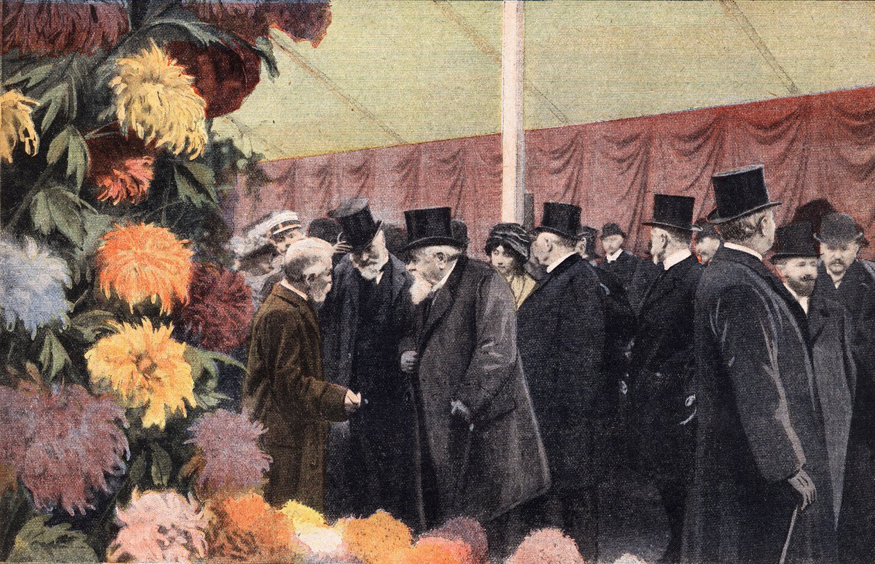 Impreza chryzantemowa: oficjalna wystawa chryzantemowa. Rytownictwo. Jedna z gazet „Le petit parisien”” z dnia 20.11.1910. Prywatna kolekcja. autorstwa Anonymous Anonymous