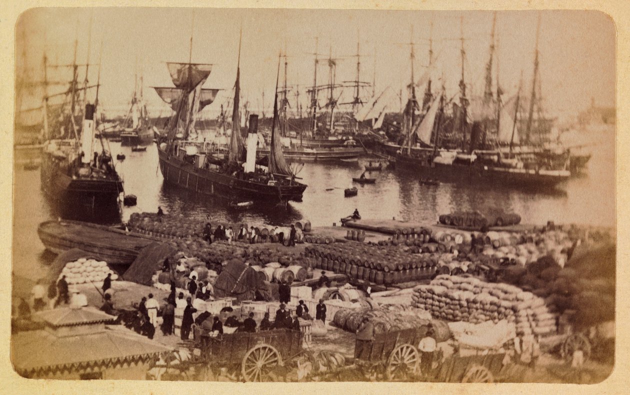 Miasto Marsylia i okolice ok. 1885 -1890: Bassin de la Joliette, pokład cargo na kotach, kolekcja prywatna autorstwa Anonymous Anonymous