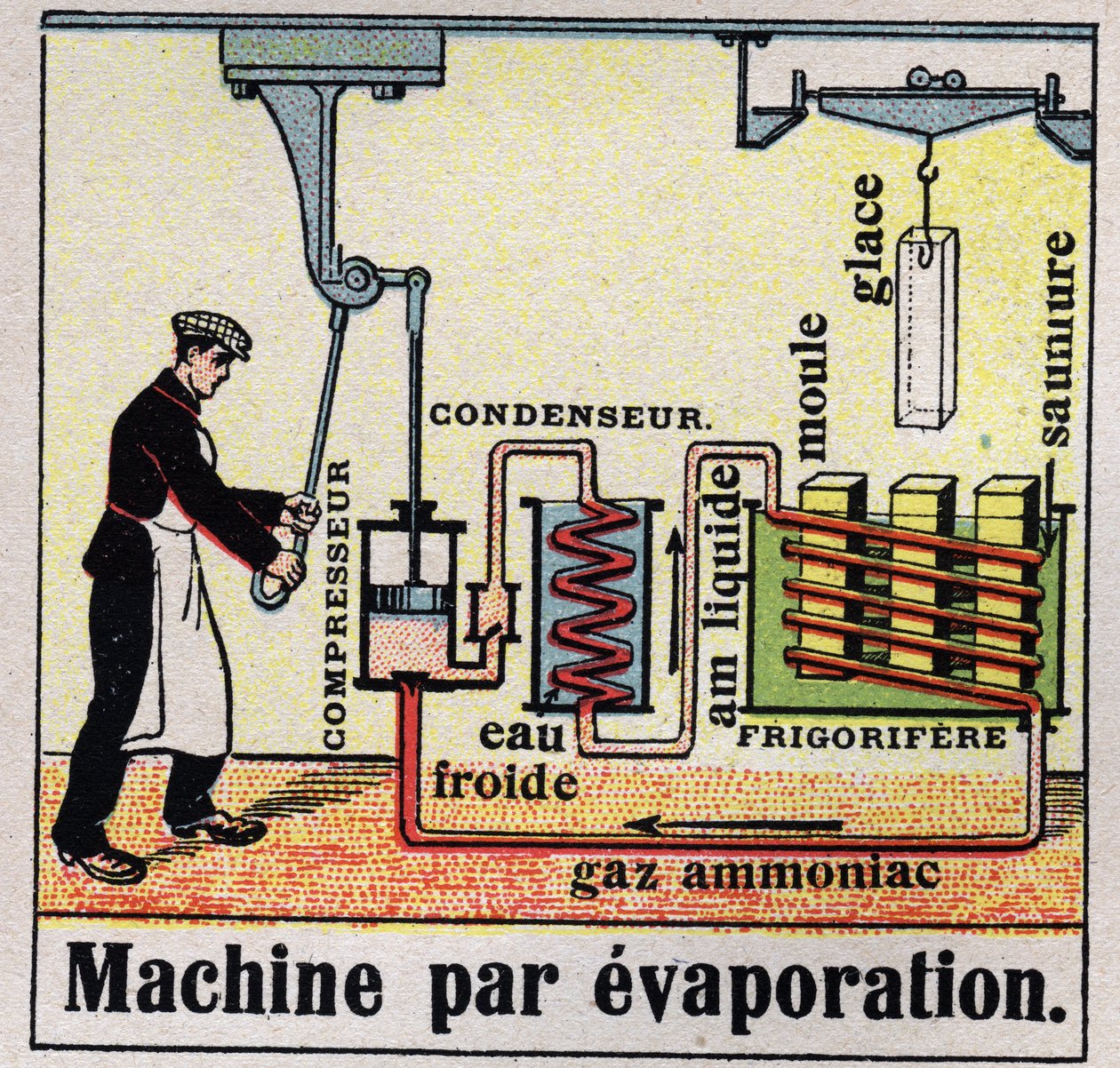 Przemysł chłodniczy: przekrój maszyny wyparnej. Anonimowa ilustracja z 1925 r. Ze zbiorów prywatnych. autorstwa Anonymous Anonymous