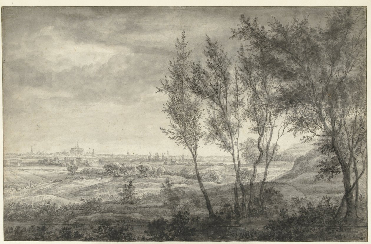 Widok z wydm Haarlemu autorstwa Anthonie Waterloo