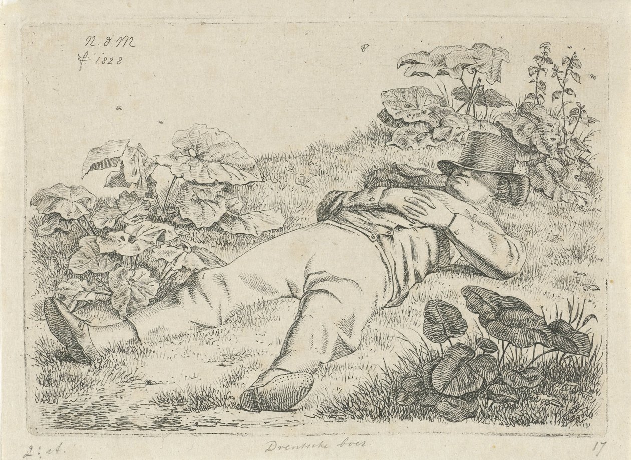 Leżący mężczyzna w trawie Rolnik Drentsche (tytuł na obiekcie) autorstwa Anthonie Willem Hendrik Nolthenius de Man