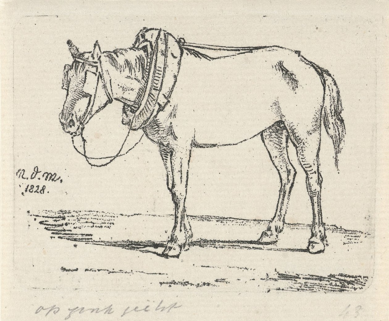 wymyślony koń autorstwa Anthonie Willem Hendrik Nolthenius de Man