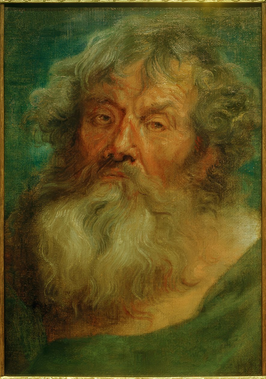 Głowa starego człowieka autorstwa Anthony van Dyck