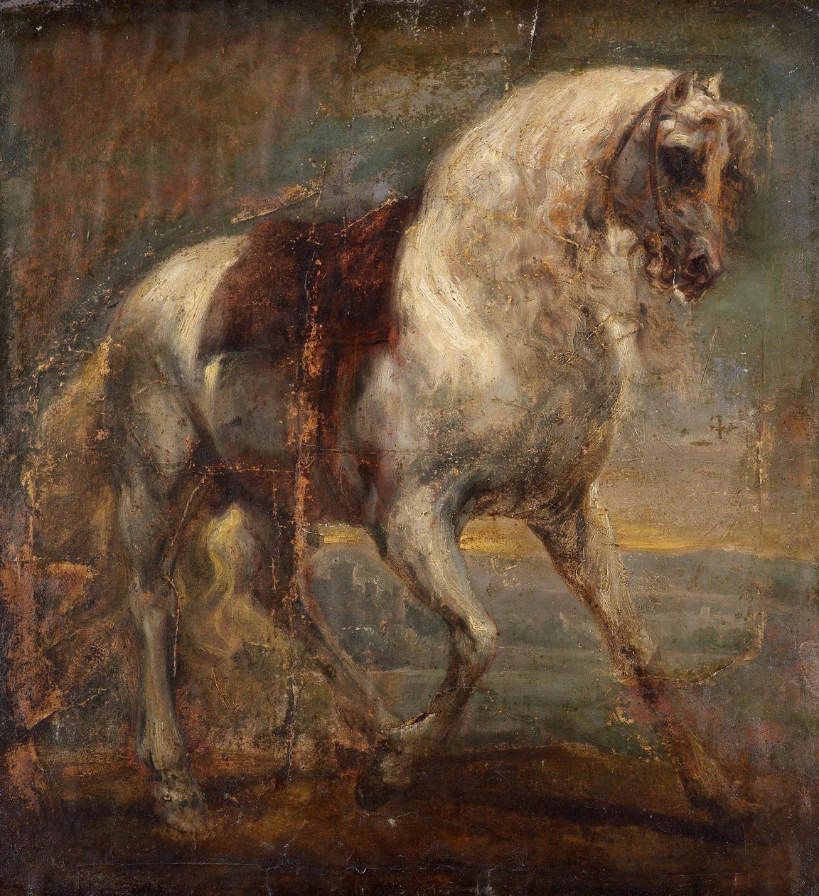 Szary koń autorstwa Anthony van Dyck