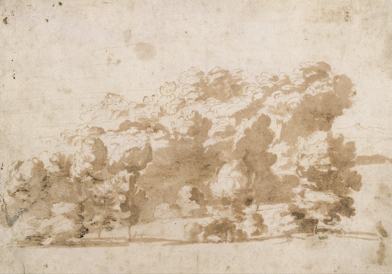 Zalesiony grzbiet autorstwa Anthony van Dyck
