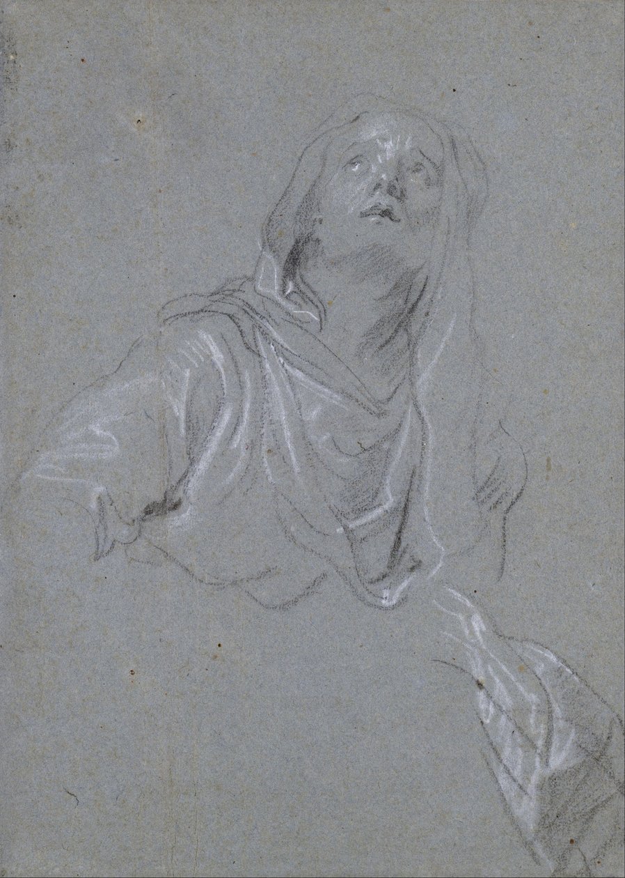 Studium Madonny patrzącej w górę autorstwa Anthony van Dyck