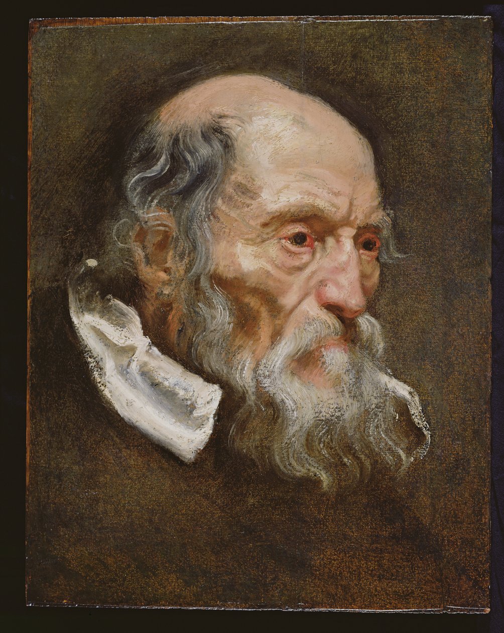 Portret starca autorstwa Anthony van Dyck