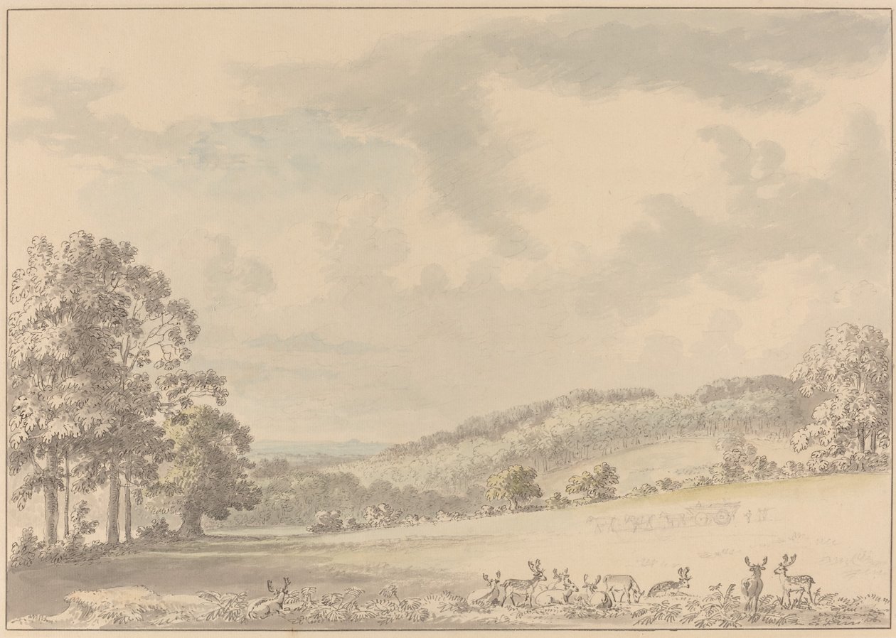 Jeleń odpoczywający w Albury Park autorstwa Anthony Devis