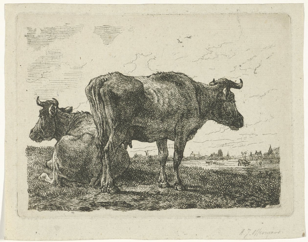 Dwie krowy autorstwa Anthony Jacobus Offermans