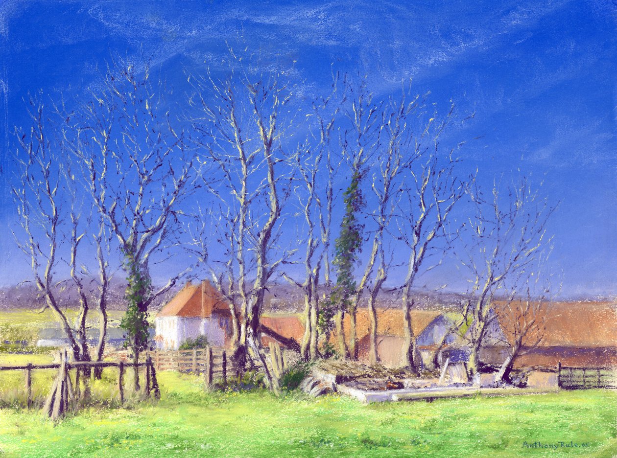 Farma Brockwella, 2005 r. autorstwa Anthony Rule