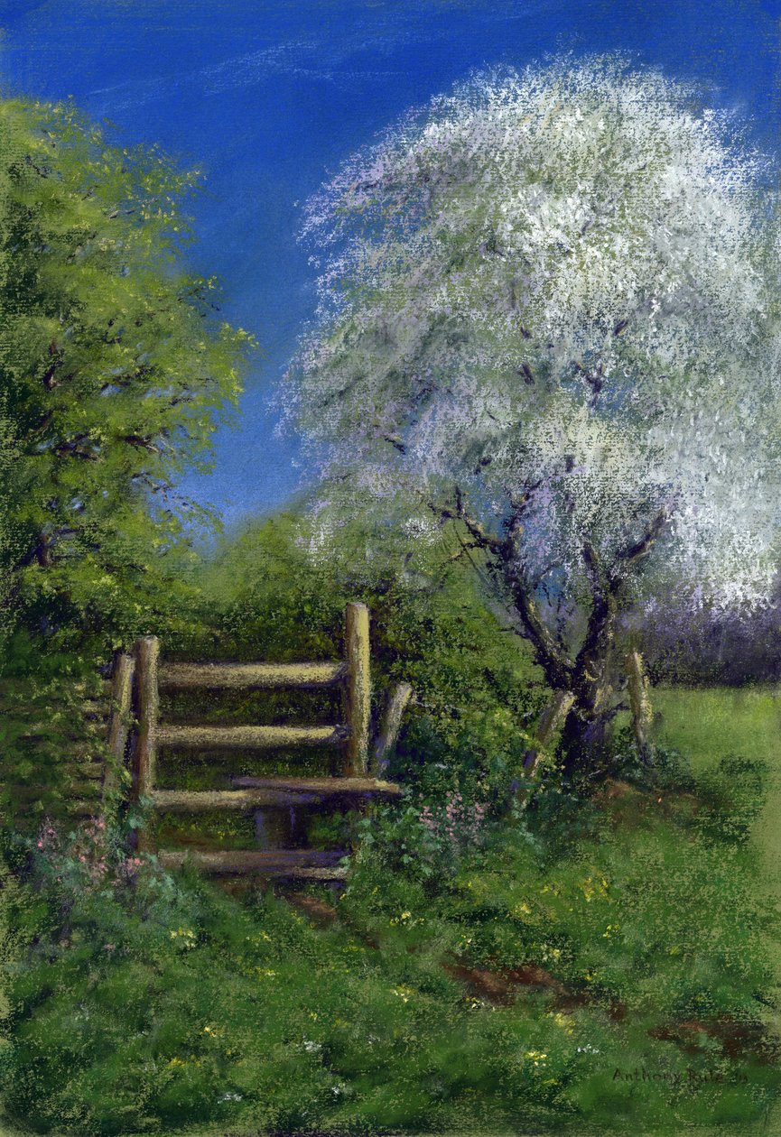 Wiosna przy Stile, 2013 (pastel na papierze) autorstwa Anthony Rule