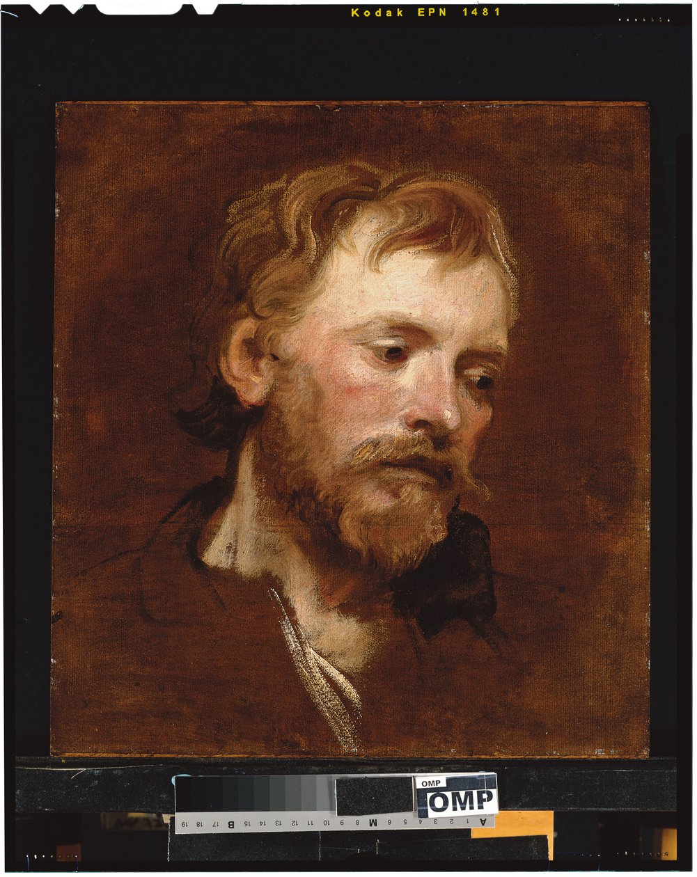 Brodaty mężczyzna, gabinet autorstwa Anthony van Dyck