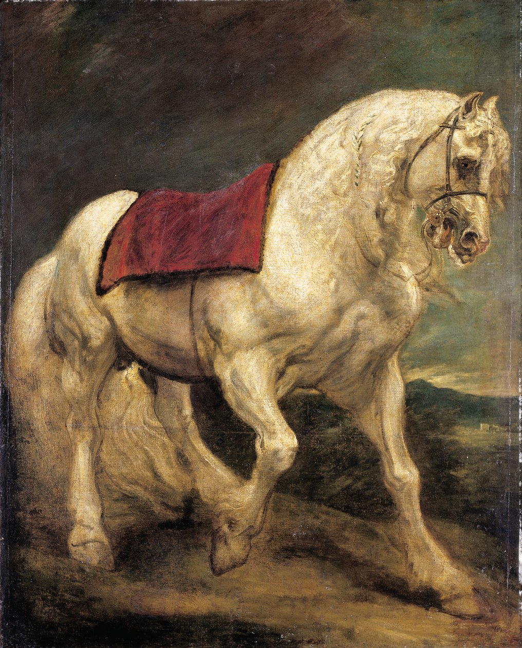 Ogier uzbrojony siwy, z czaprakiem i częściowo splecioną grzywą: modello autorstwa Anthony van Dyck