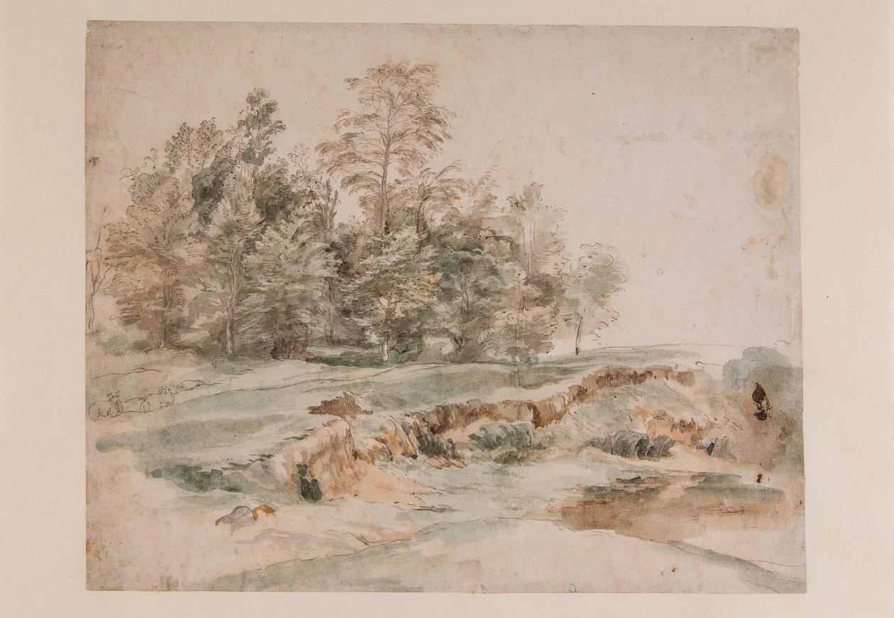Kępka drzew przy leśnej drodze (ołówek i akwarela na papierze) autorstwa Anthony van Dyck