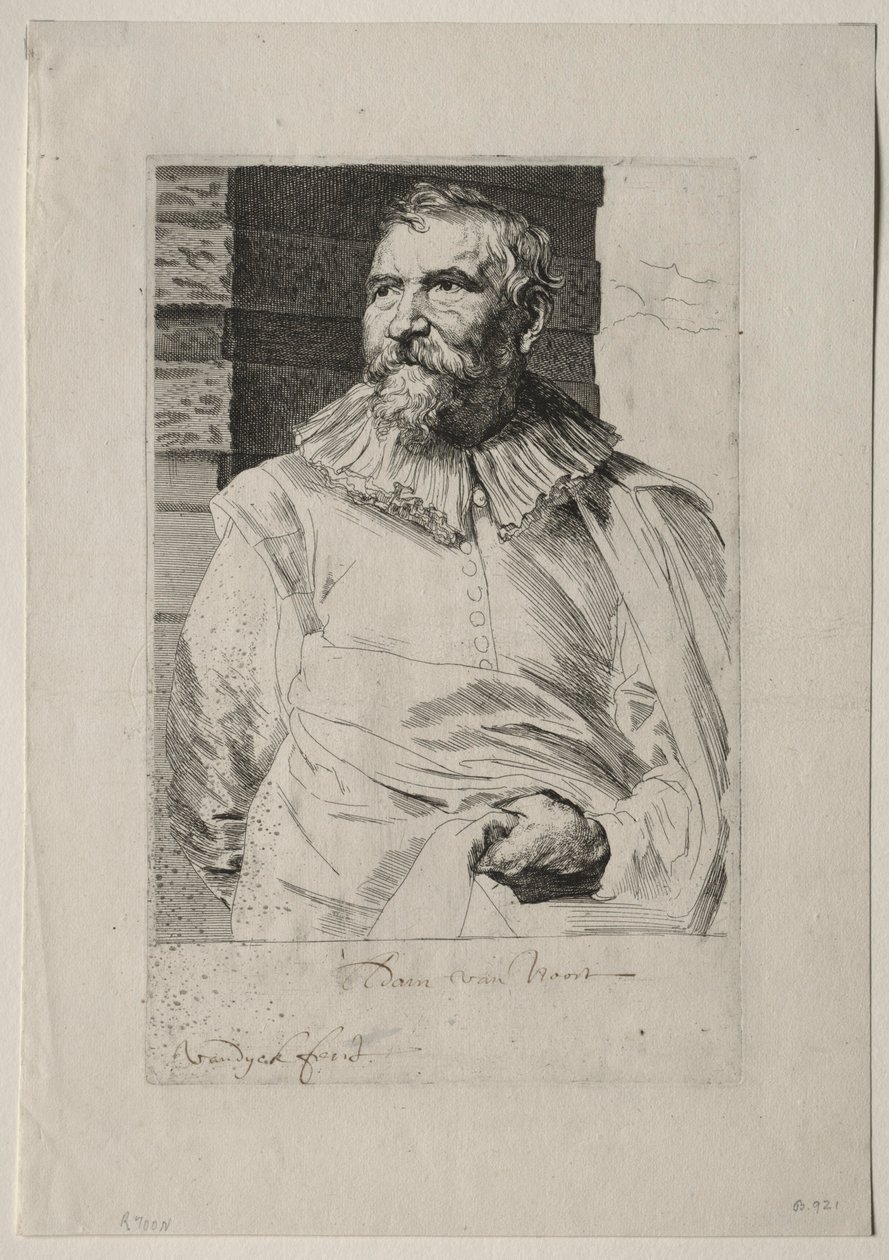 Adam van Noort autorstwa Anthony van Dyck